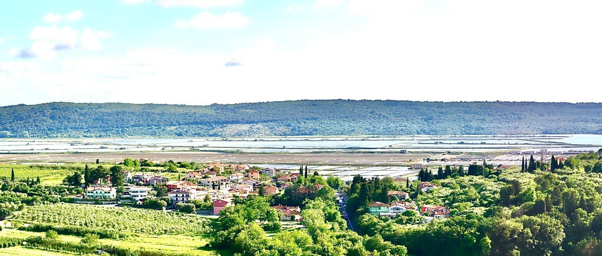 Appartamento Sea View Olive Retreat Portorose Esterno foto