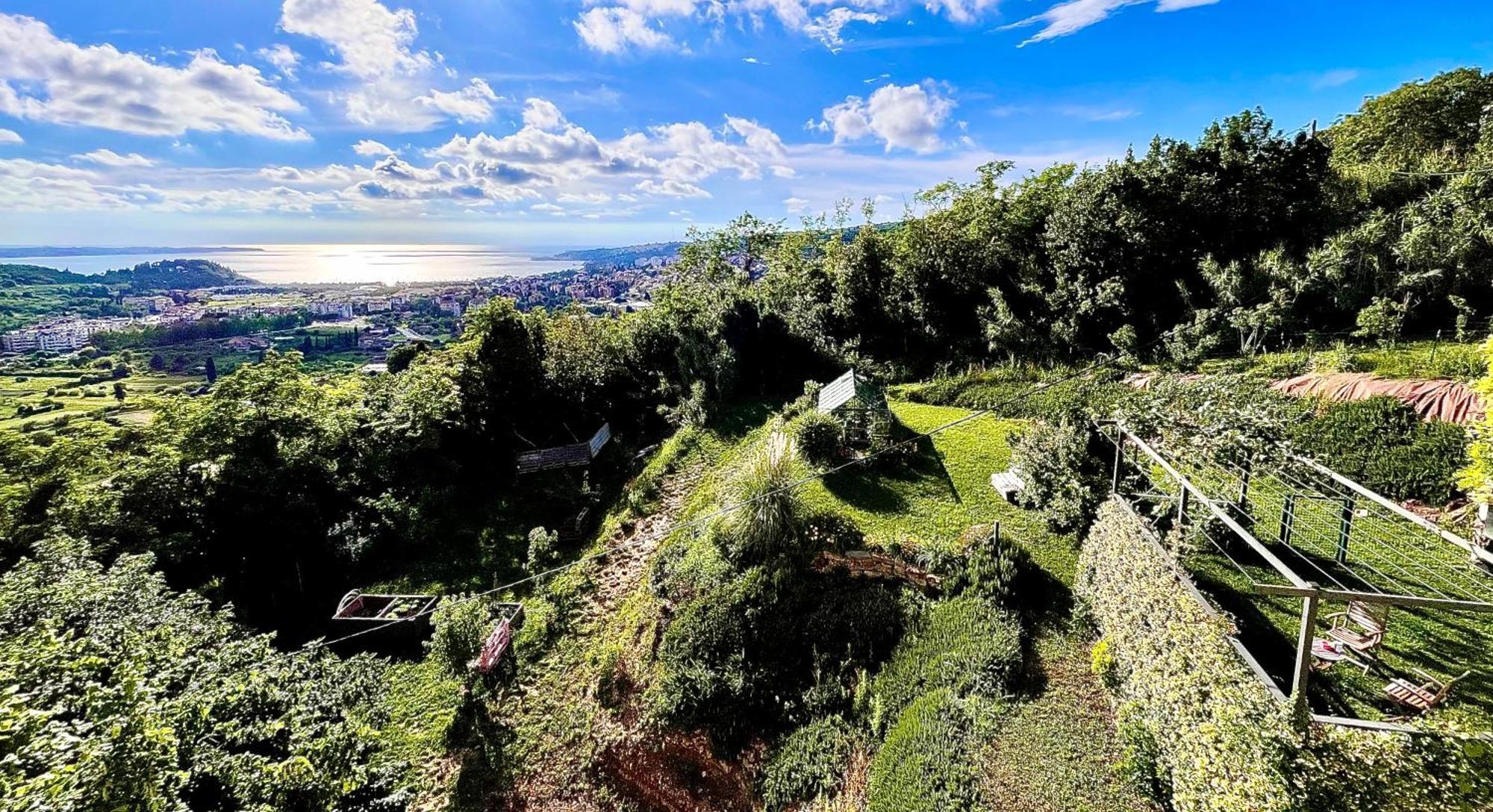 Appartamento Sea View Olive Retreat Portorose Esterno foto